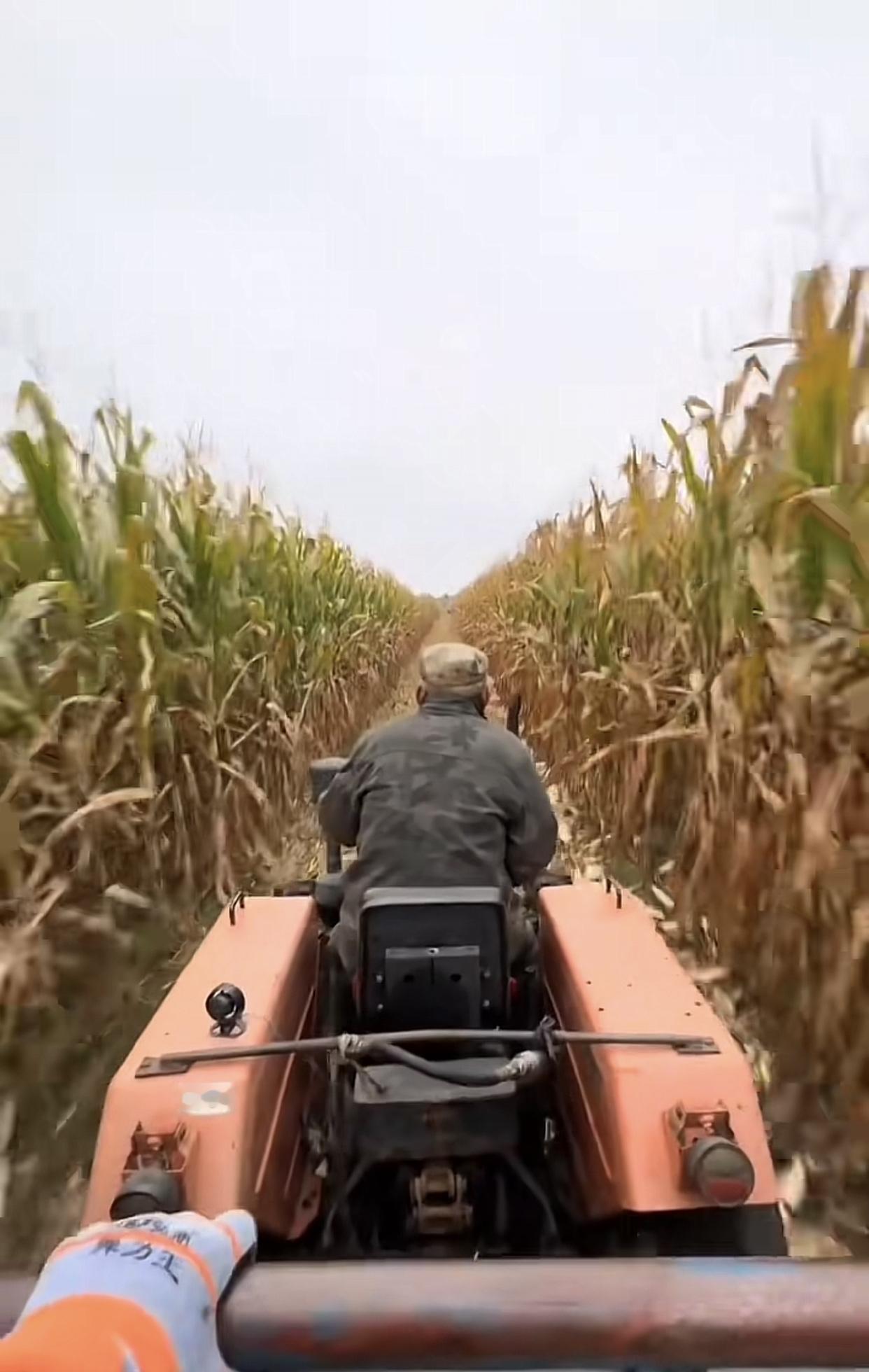 你们的爸都是干什么工作的？

最近看了一些评论很有趣，都在晒“子承父业”

我爸