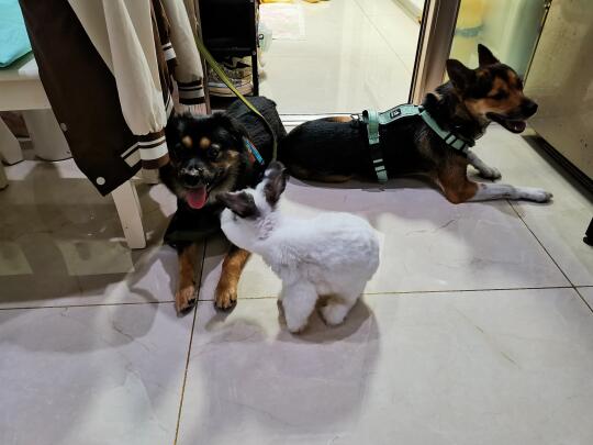 小宝: 你们每天都去哪里呀