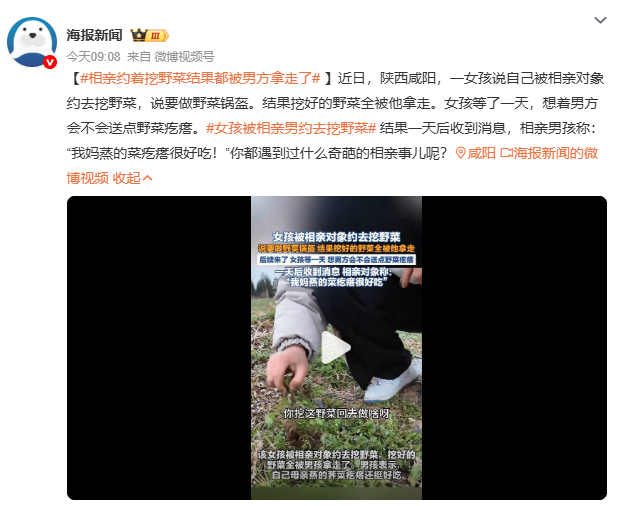 相亲约着挖野菜结果都被男方拿走了相亲看细节，挖野菜见人品。男方埋头挖菜不交流，分