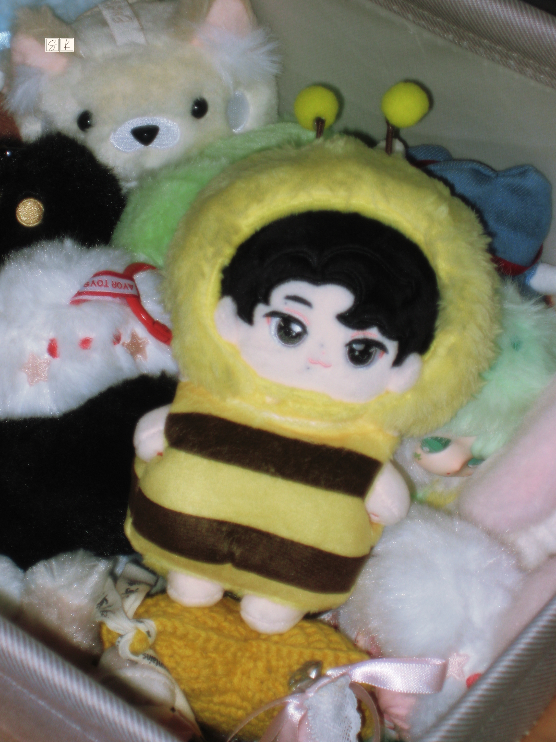 🐝 咔嚓📸 