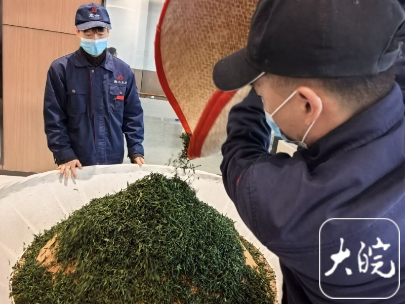 【#牢记嘱托开新局 日新江淮往前赶#｜#直播间开进六安瓜片生产车间#】4月14日