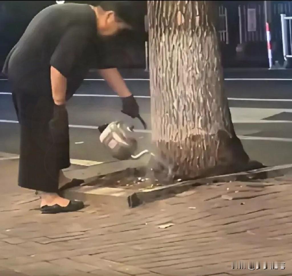 刷到一个视频，一个老太连续十四天用开水浇一棵银杏树。

邻居一开始还笑着打招呼，