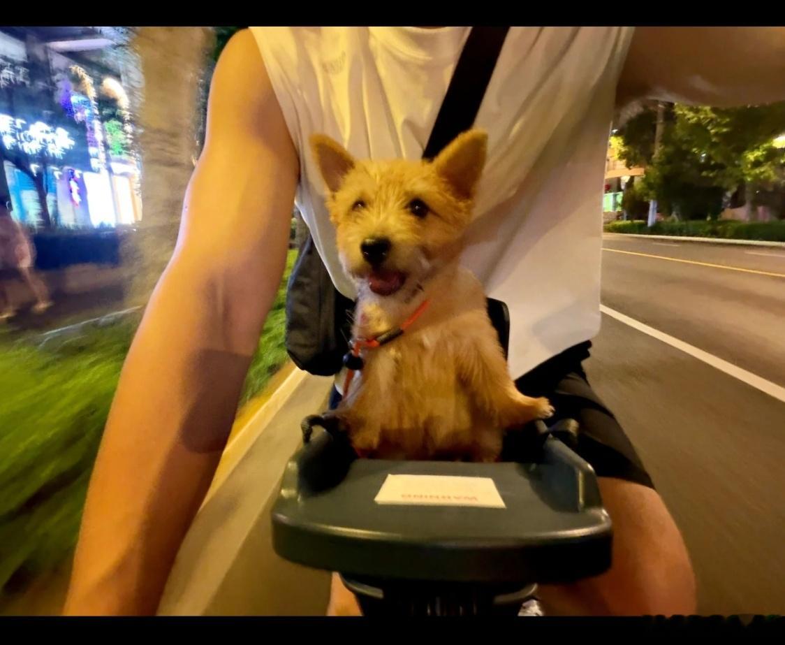 我骑公路车和黄景瑜有什么区别黄景瑜有小狗，你没有。昨天某书上也刷到一个，现在很流