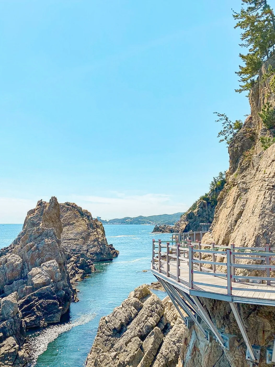 🇰🇷江原道夏天的尾巴｜再来看一次大海吧🌊