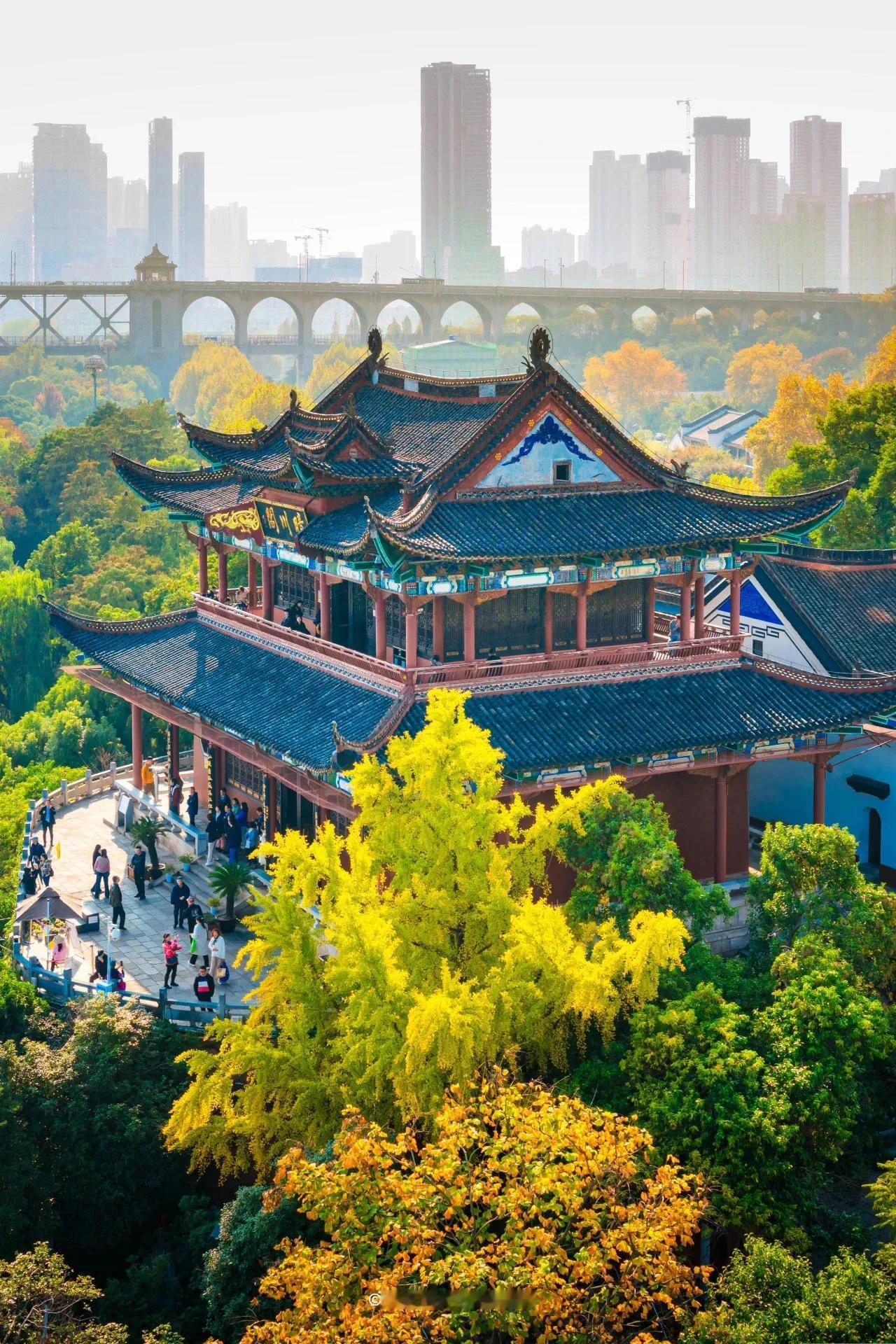 拍一张我的城市美景