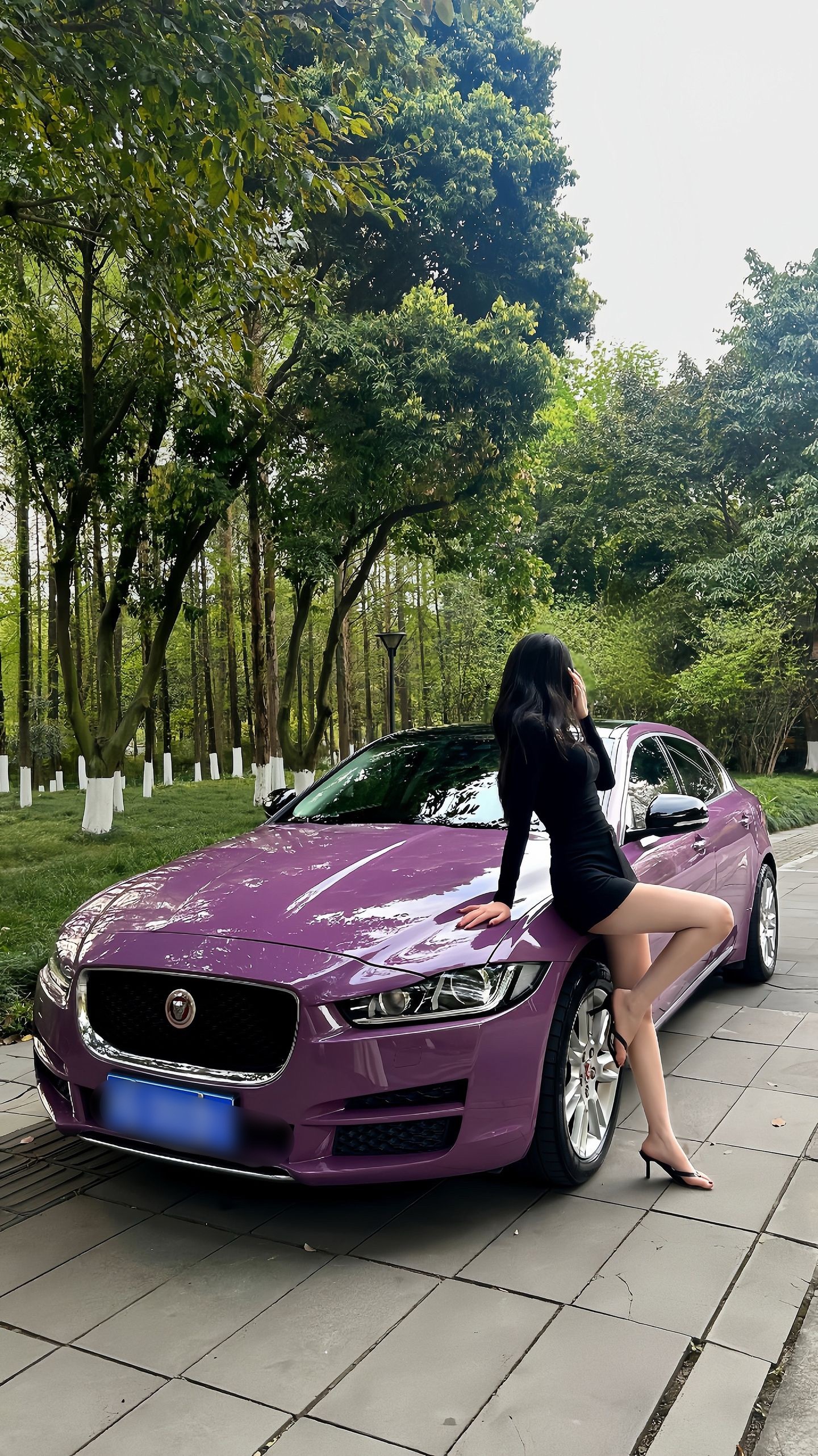 捷豹车也不错的 