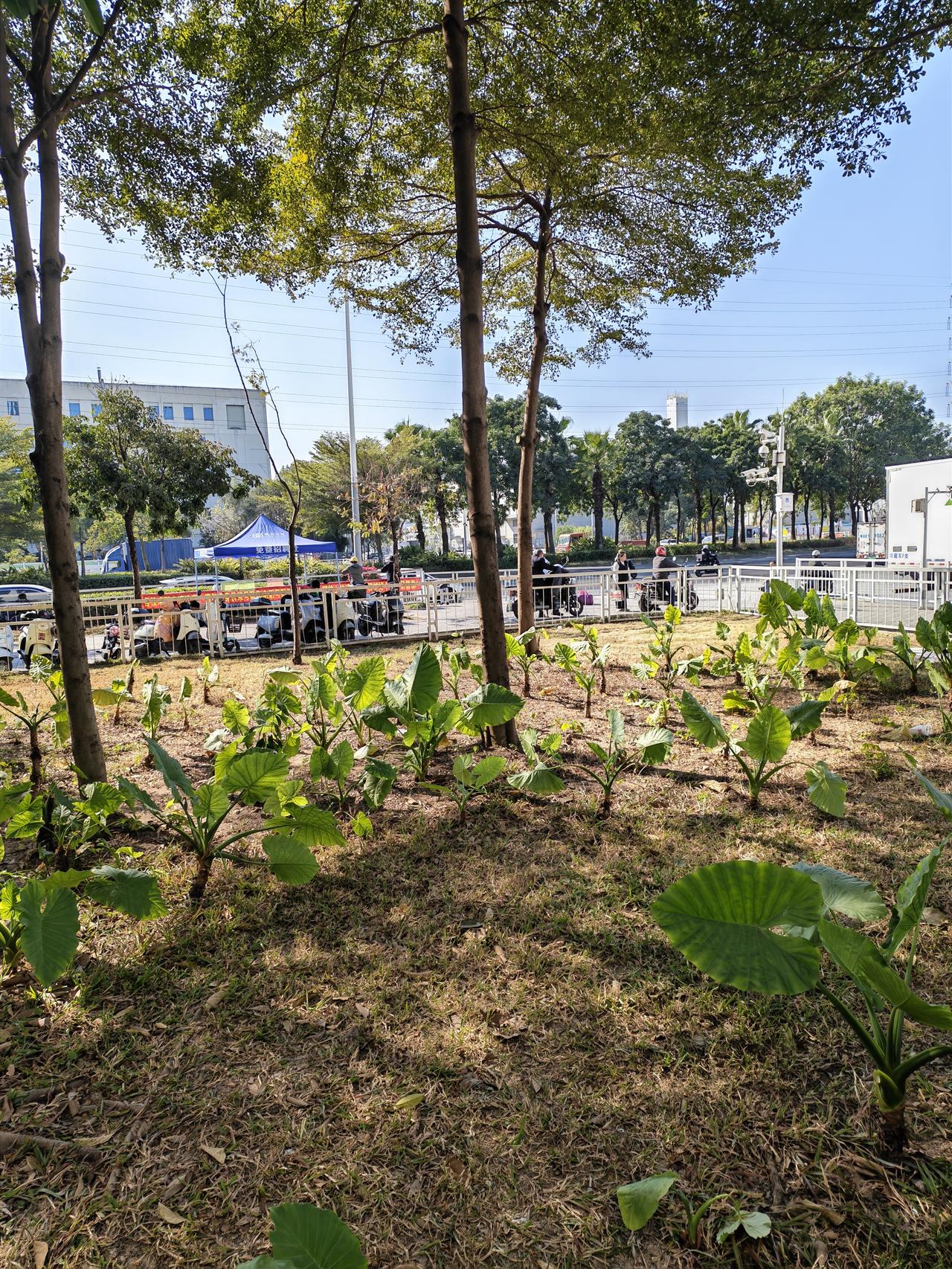 晒图笔记大赛未来的一年，不希望自己能有多大的成就，但是希望身边那种乱七八糟的人能