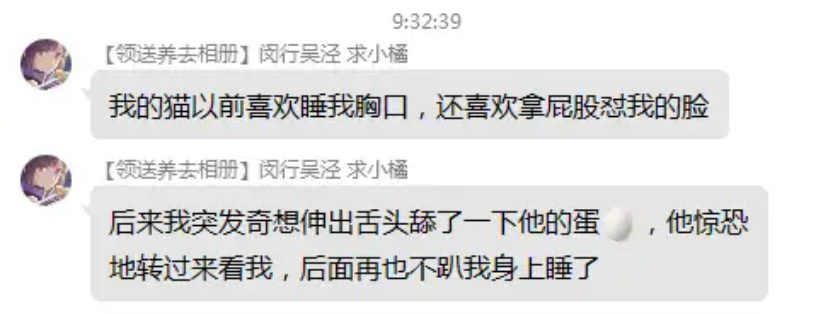 猫咪这辈子没这么崩溃过 ​​​