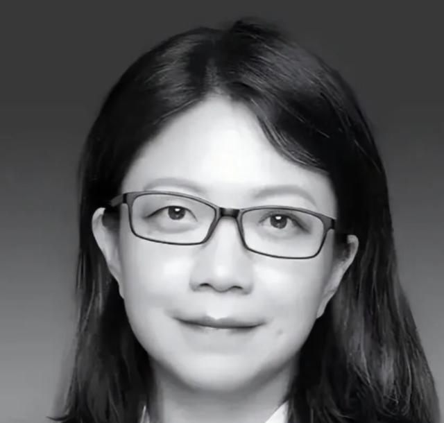 看哭了！西工大博导严红，曾放弃美国大学教授身份，回国死磕航空发动机，攻克高超声速