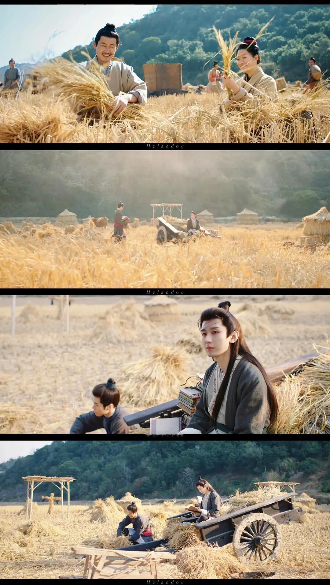 谢淮安 是你的周末吗你就杀居然在电视剧里看到如此高级的镜头！成毅2025快过去了