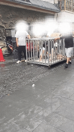 男子纠集8人多次摆拍被刑拘拘的好！ 