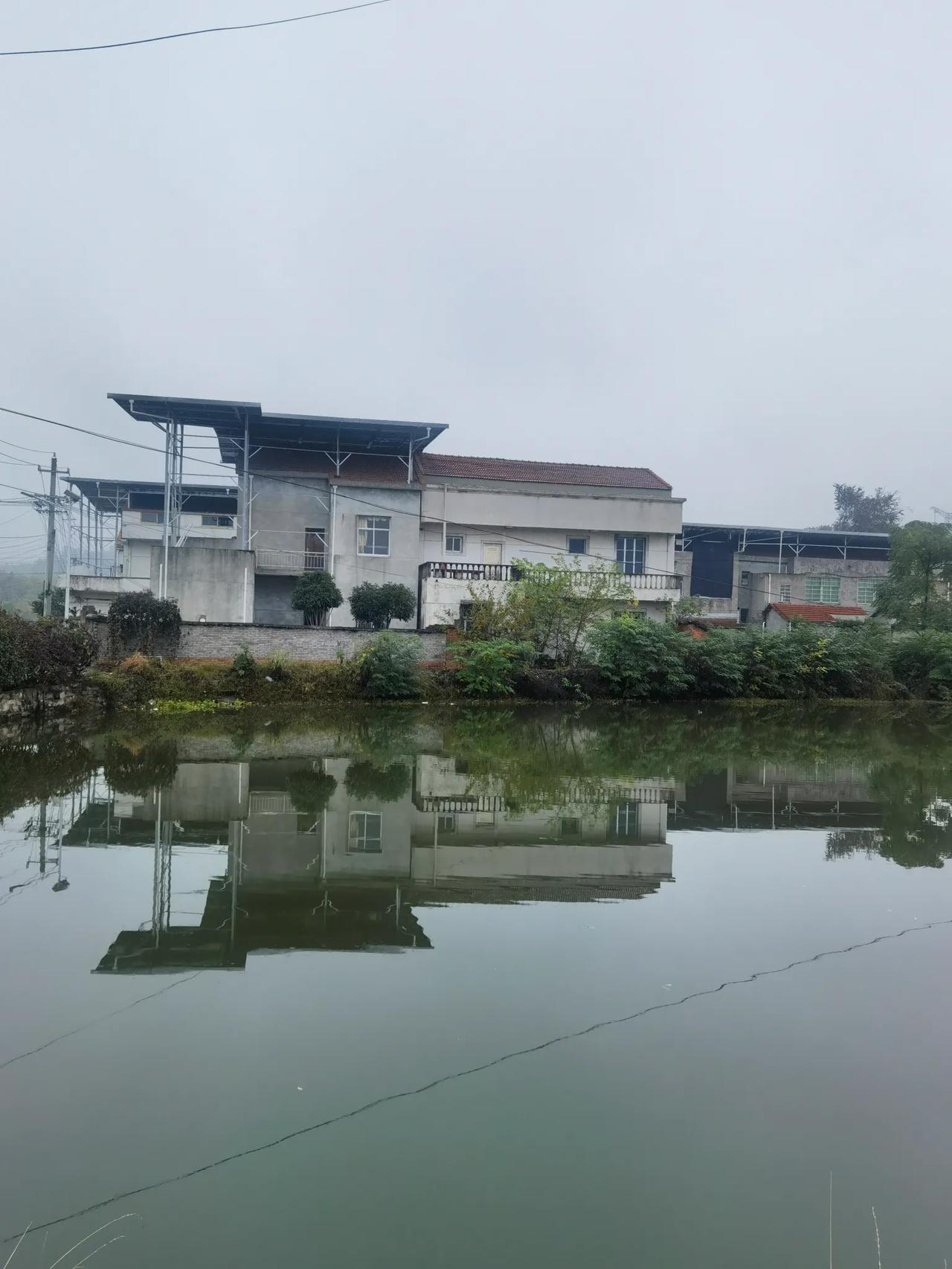 对联折意

“推窗又见桃花雨，开门喜迎顺堂风”，这对联太有意境了。想象一下，推开