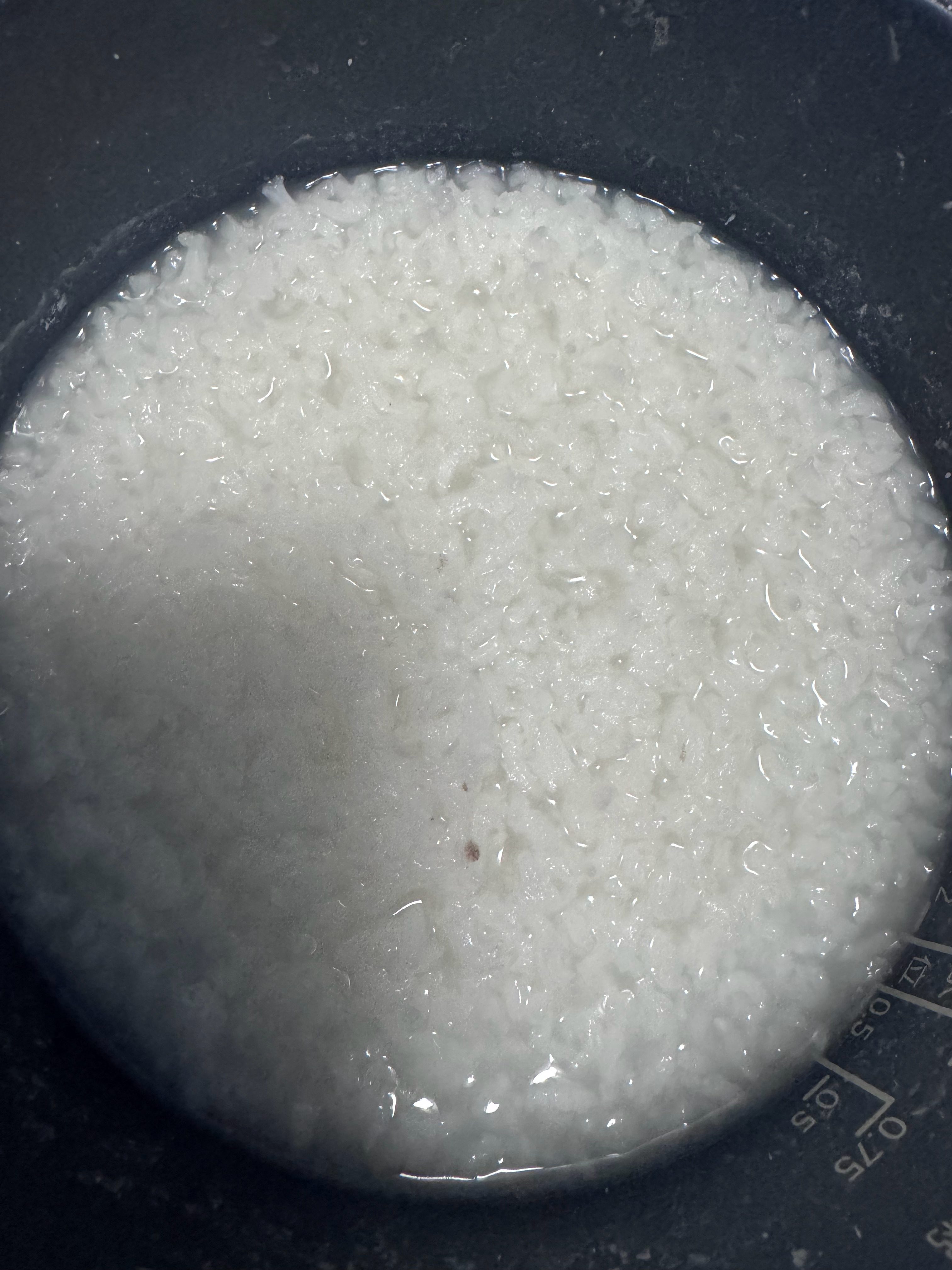生活手记  儿子要喝大米粥，一不小心，快成蒸米饭了偷偷给他加点水吧