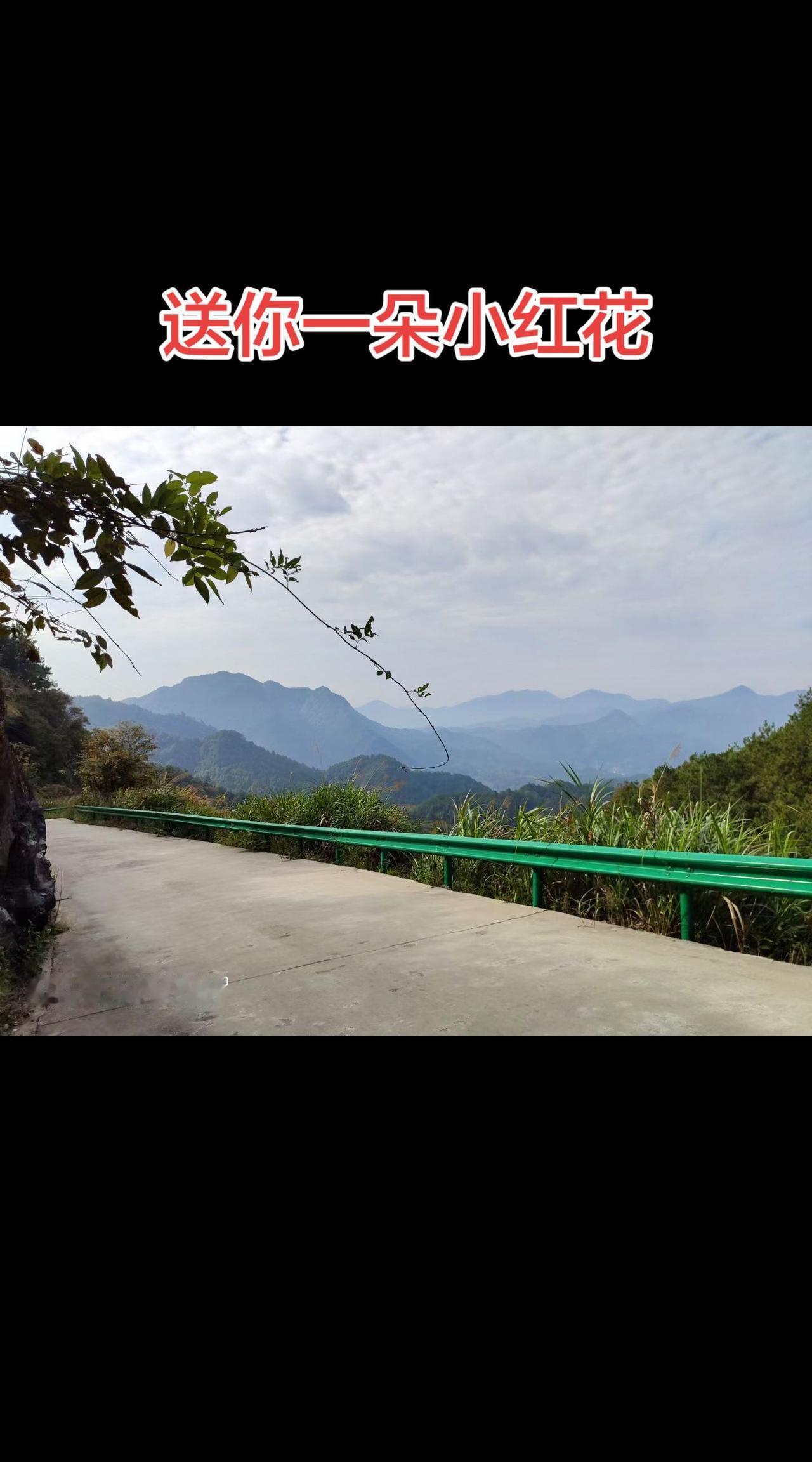抖音玩法合伙人计划 情绪音乐玩法新风向