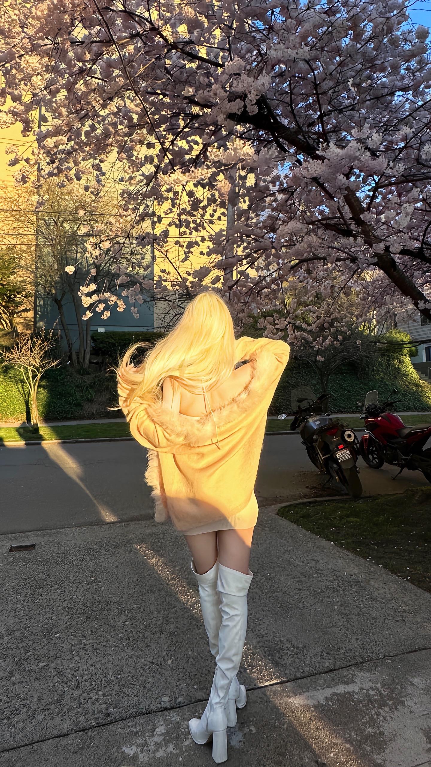 春日来信🌸。