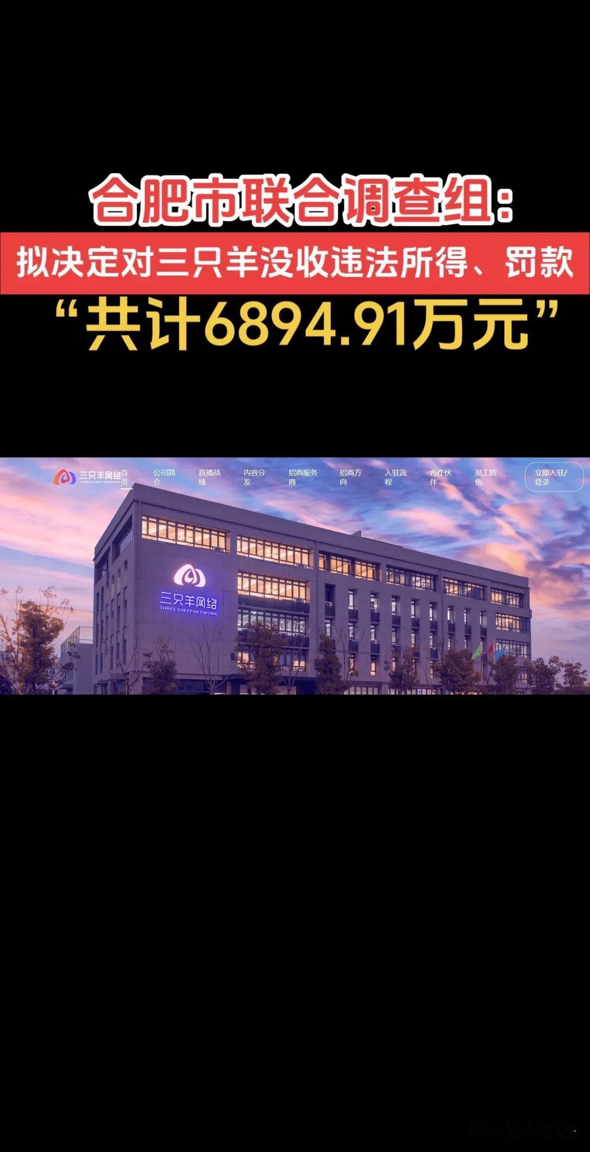 合肥联合调查组决定