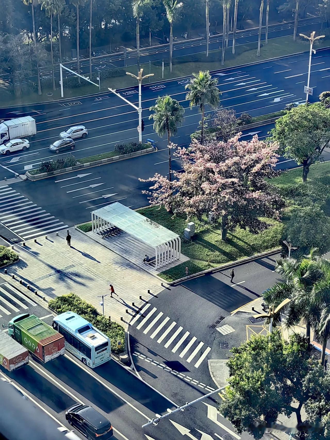 晨光照耀下的深圳。
——随拍于深圳福田区侨香路与农林路十字
 冬日生活打卡季 发