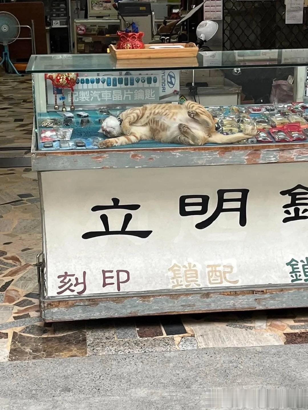 锁匠师傅正在保温箱里等客人