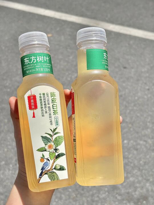 东方树叶陈皮白茶！打工人续命的神🙏