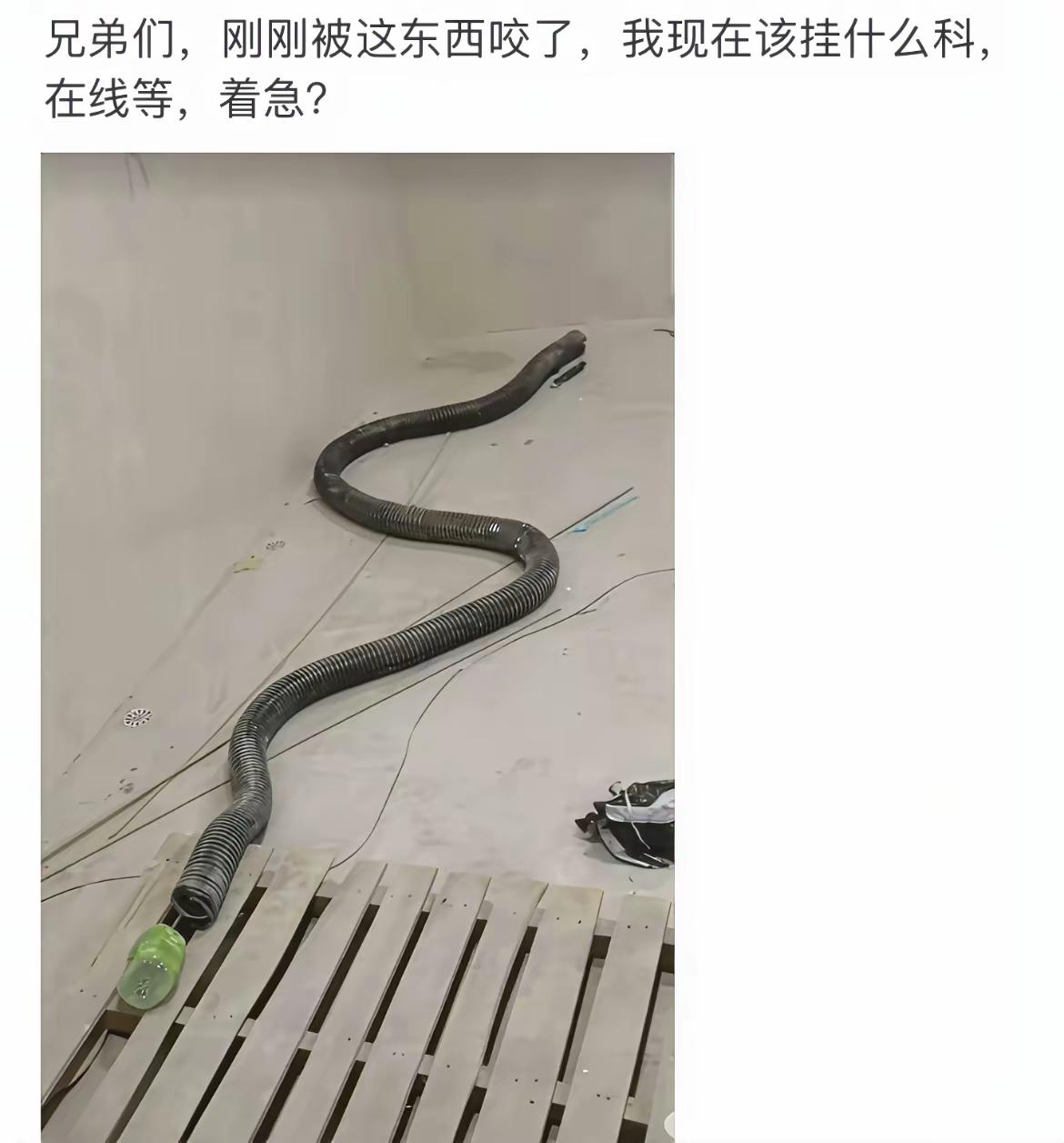 这应该挂什么科呢？