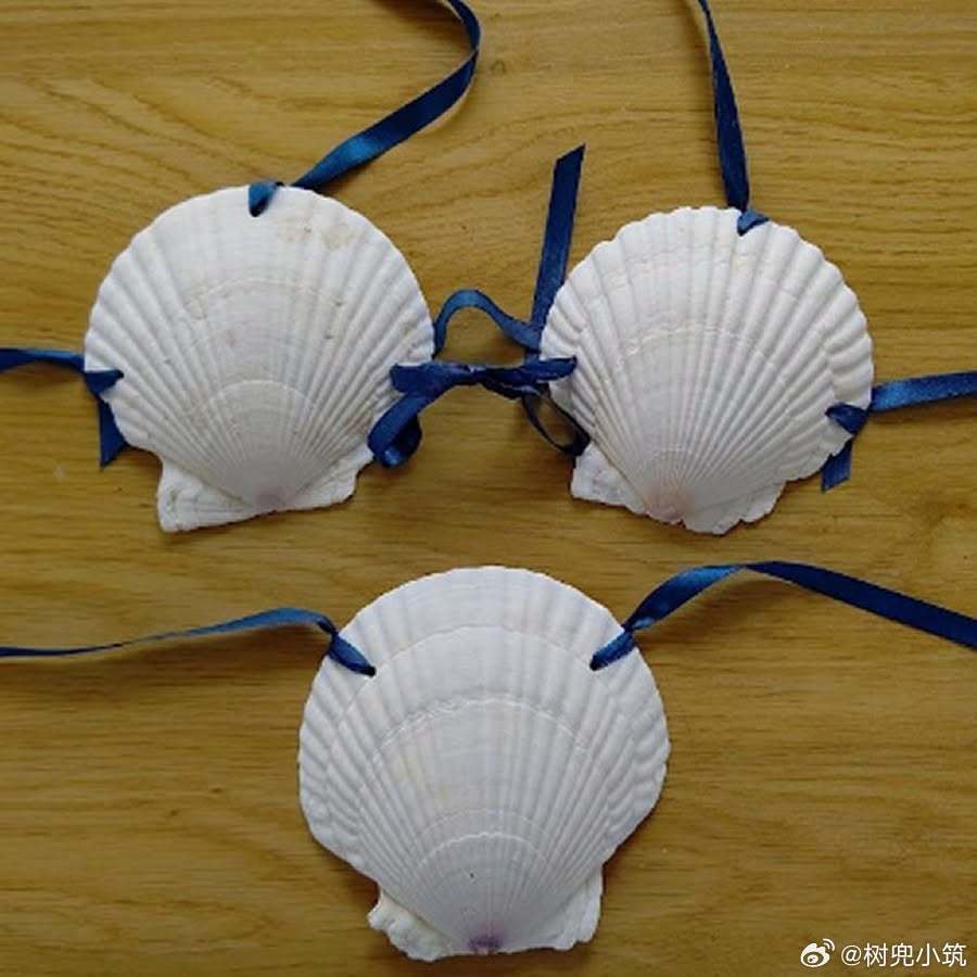 【 扇贝比基尼套装 】这是日本青森县陆奥市故乡纳税回礼[泪奔] ​​​