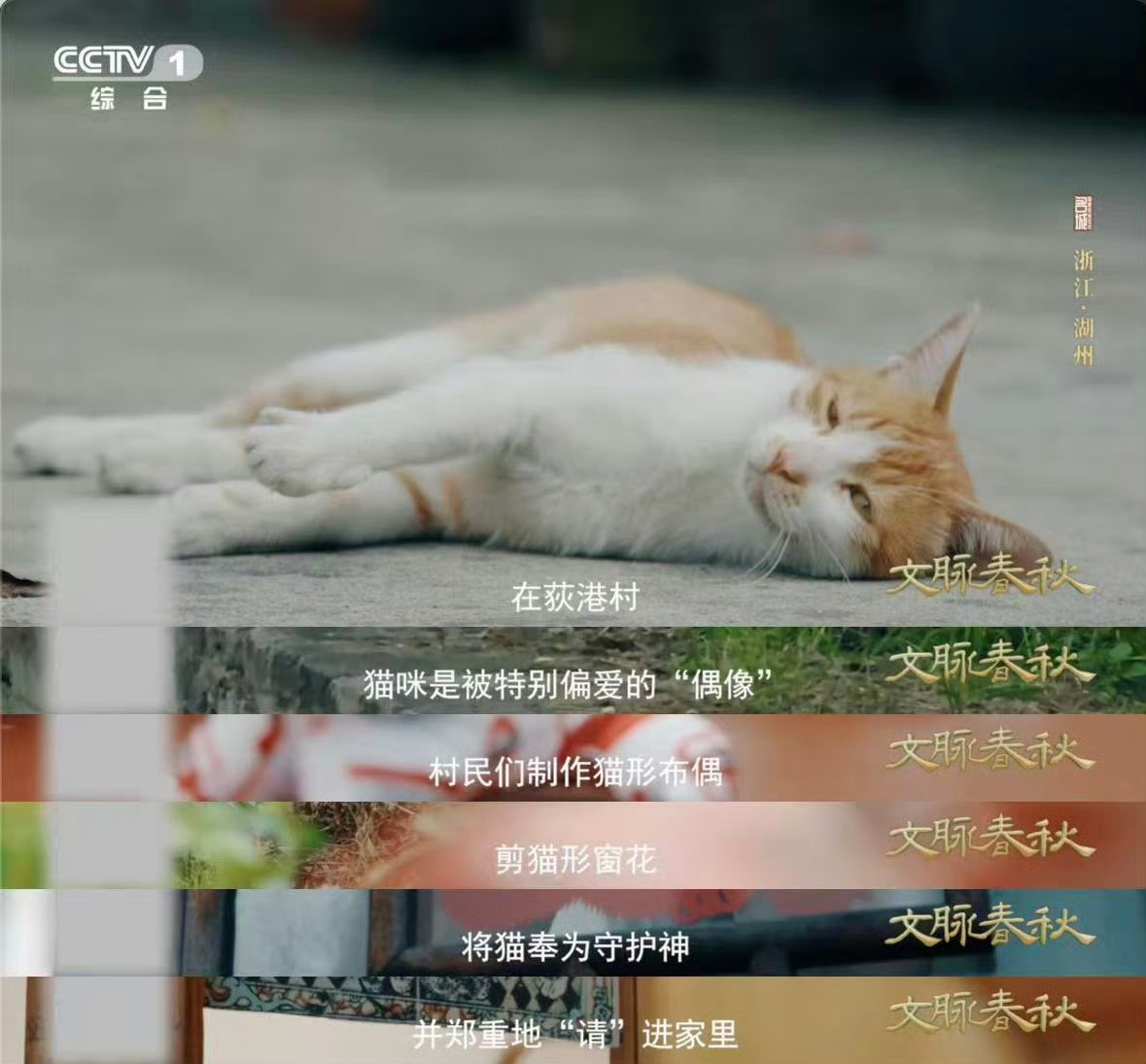 村里贴满小猫窗花养蚕村小英雄是一群猫侍卫千年蚕桑，代代守护。一群毛茸茸的卫士，静