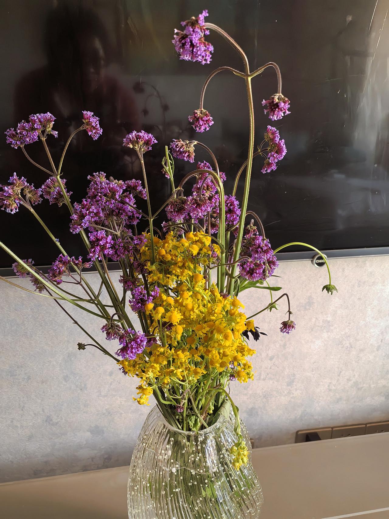 相册里的花花草草