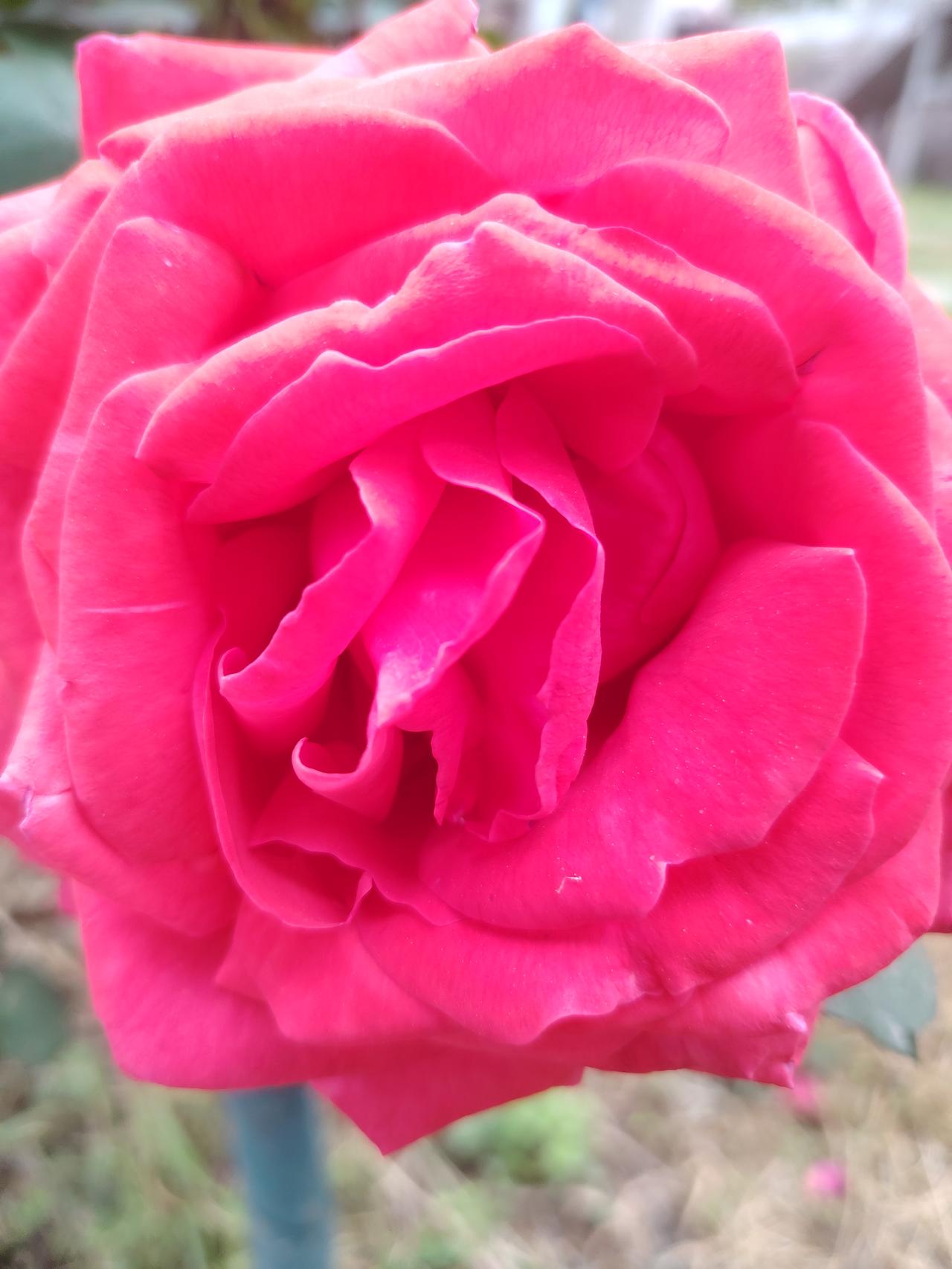 教师有偿补课这事儿，真的太影响教育公平了。现在中小学里，很多老师明着不补暗着补，