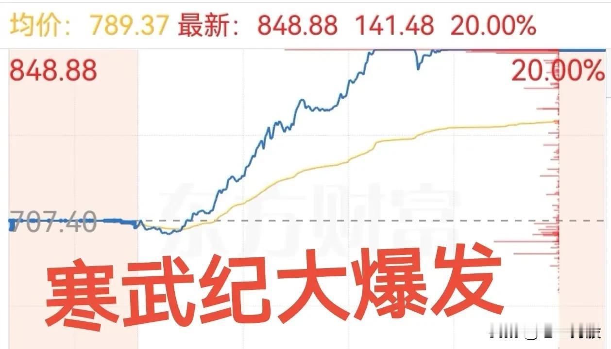 8月12日，半导体板块多只股票出现大幅上涨。上海合晶和寒武纪 - U涨幅达20.