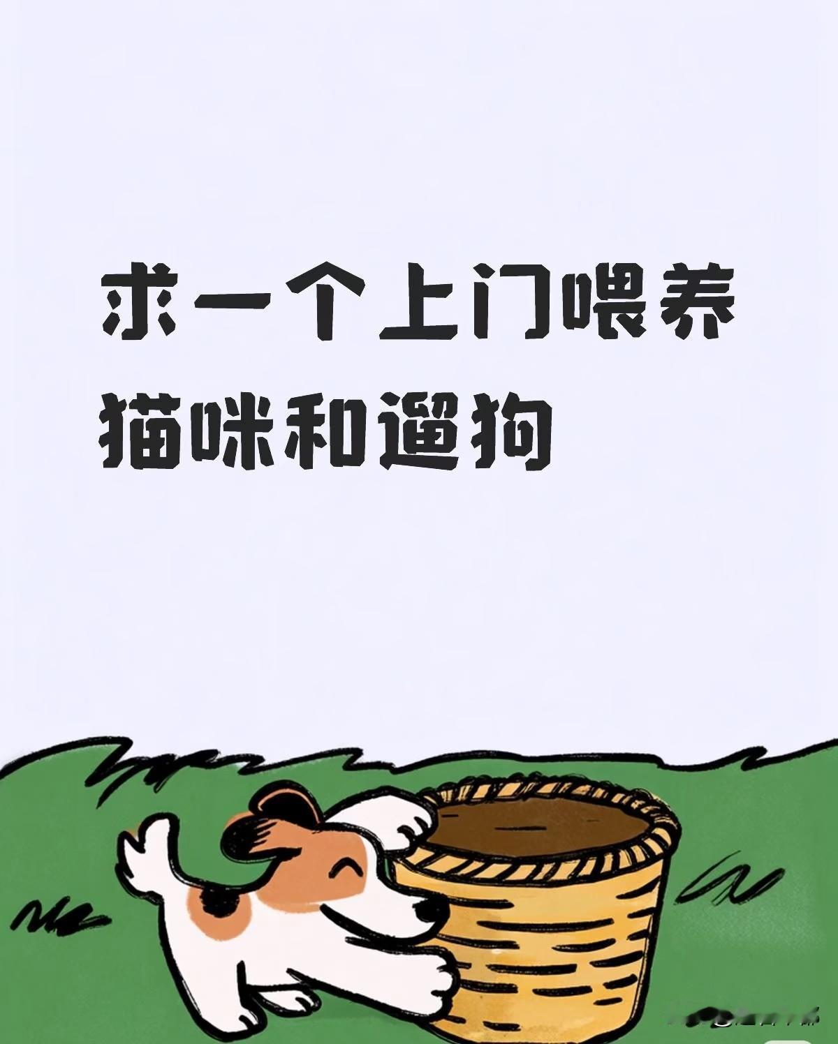 上门喂宠爆火，副业年入2w+,还催生出新副业！
宝子们，假期想出门浪，家中毛孩子