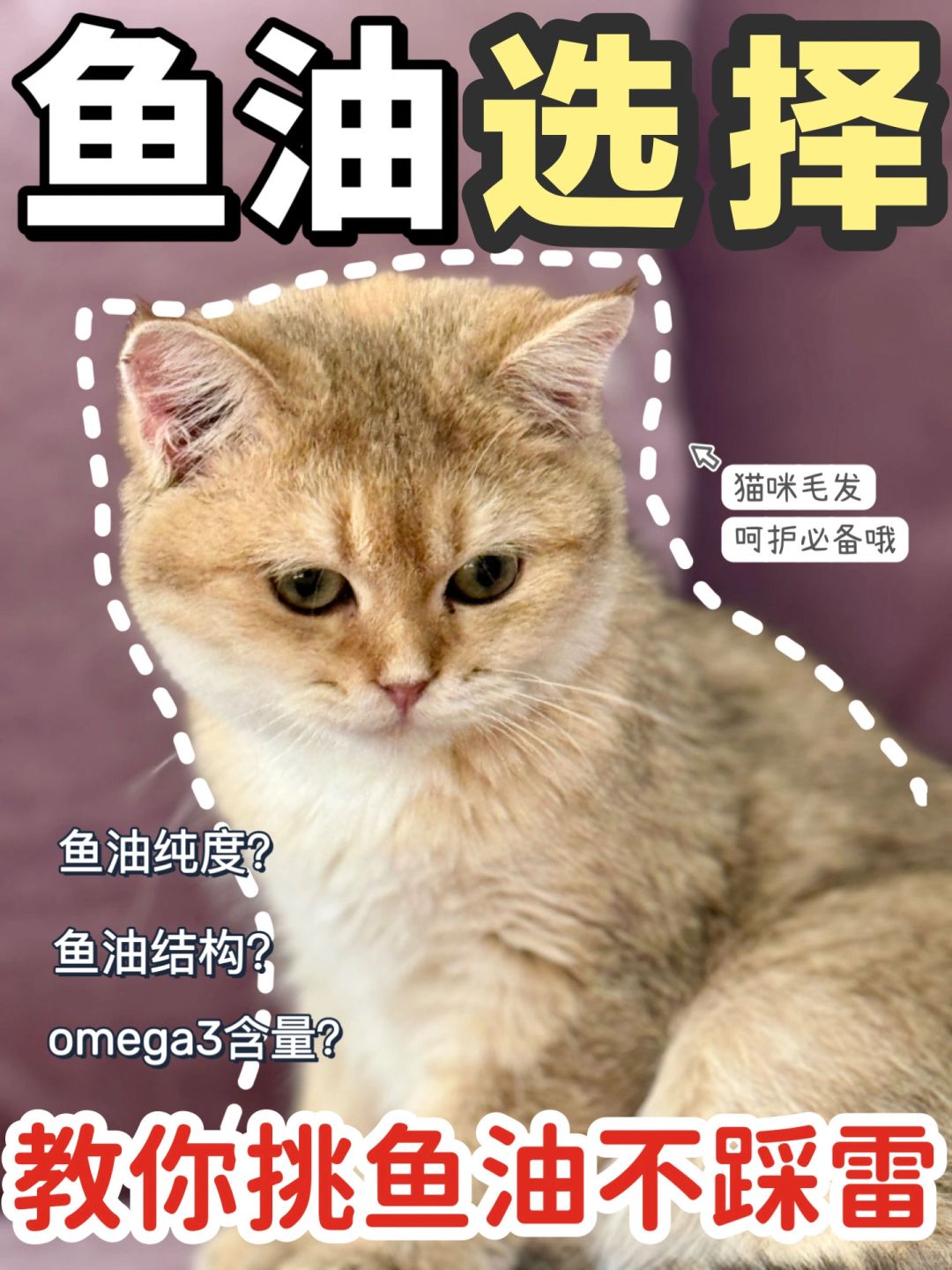 鱼油这么挑❗️再也不会被韭菜啦🙆
