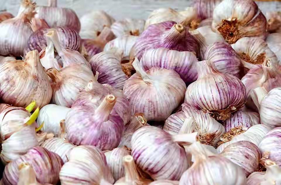 谢锋：中国大蒜做梦没想到被列为威胁 谢锋大使那句“中国大蒜做梦也没想到会被列为‘