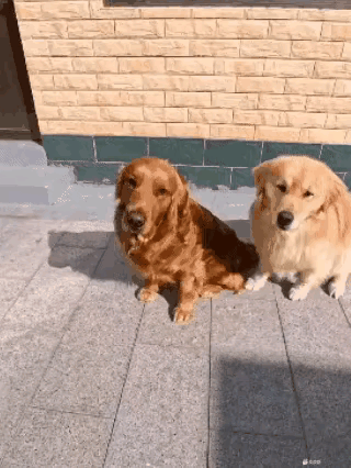 看完这个视频，我悟出了一句俗语：是你的终归是你的，不是你的，到嘴边也要丢给别人。