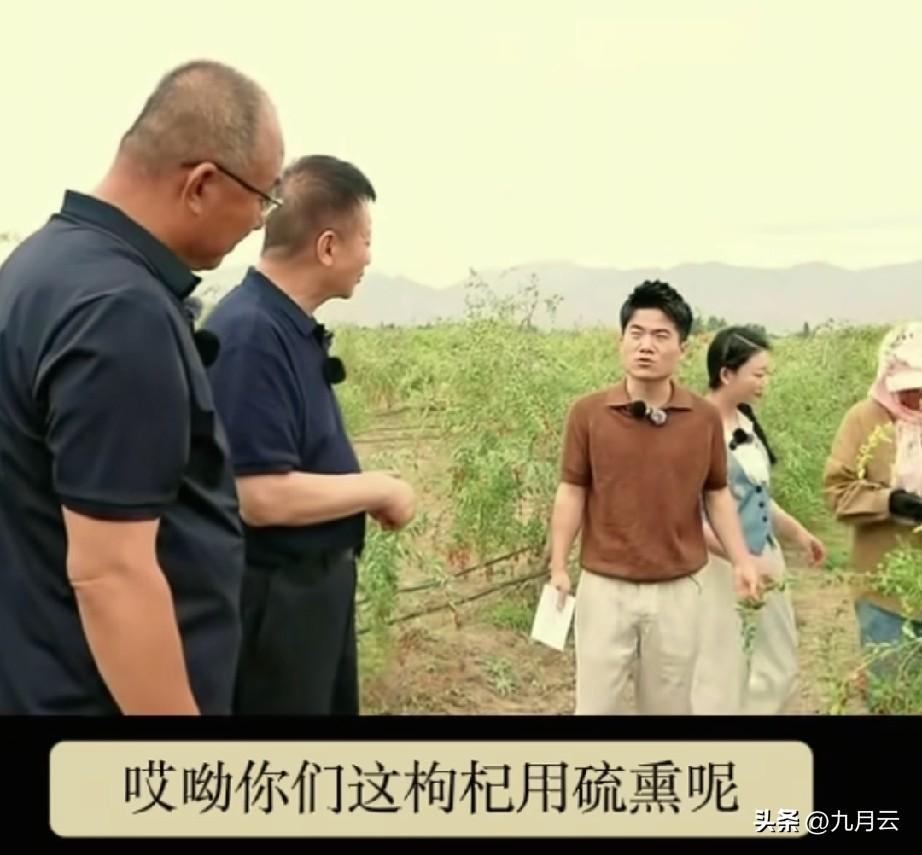 与辉同行农产品溯源活动，最大的作用不是带了多少货，而是破除了偏见，比如潜江小龙虾