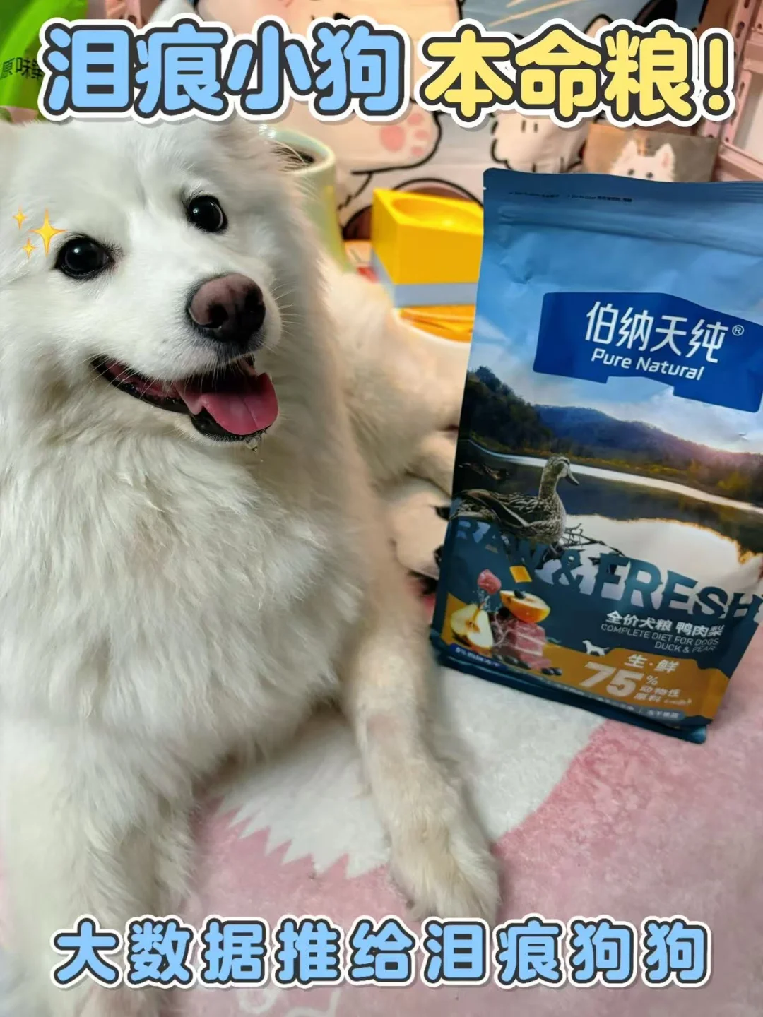 泪痕克星！伯纳天纯生鲜狗粮真的绝了！