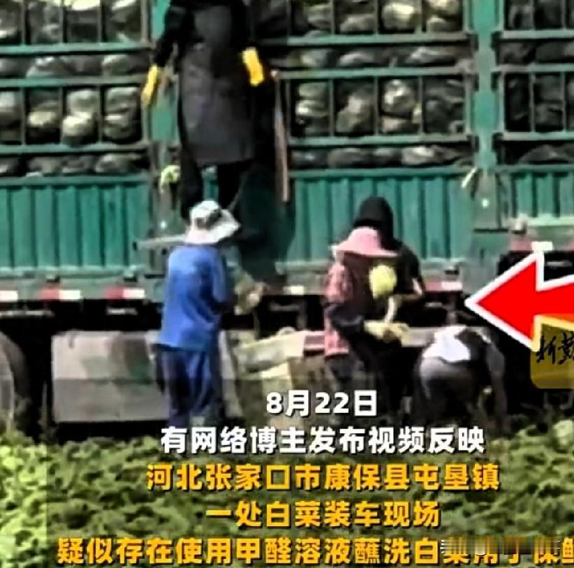 【如何看待張家口甲醛白菜事件】
张家口康保“甲醛白菜”被拍了现行，官方通报：情况