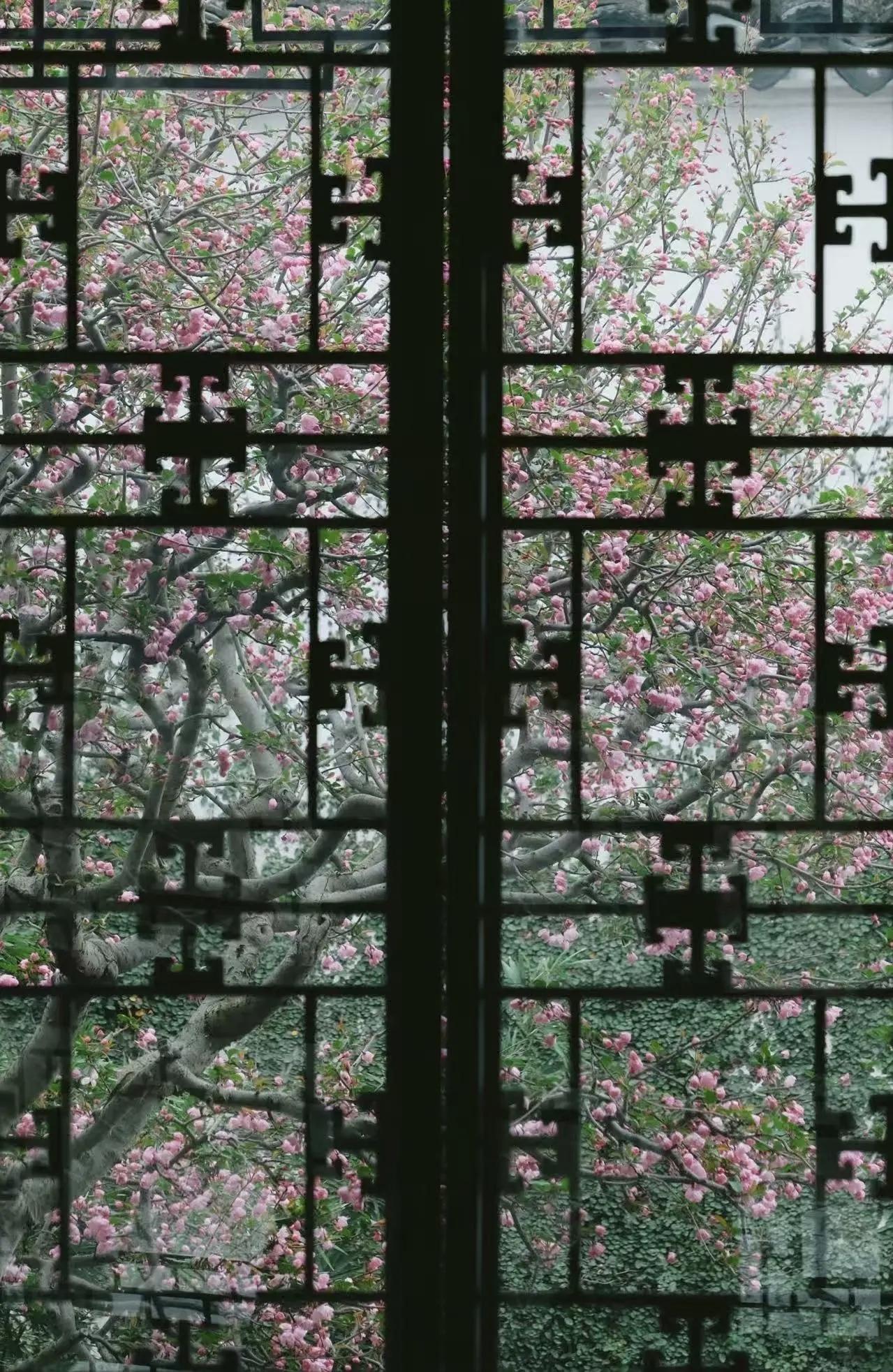 【一个家庭要想幸福美满，离不开每个成员的共同努力；家人间相互理解，各司其职，家庭