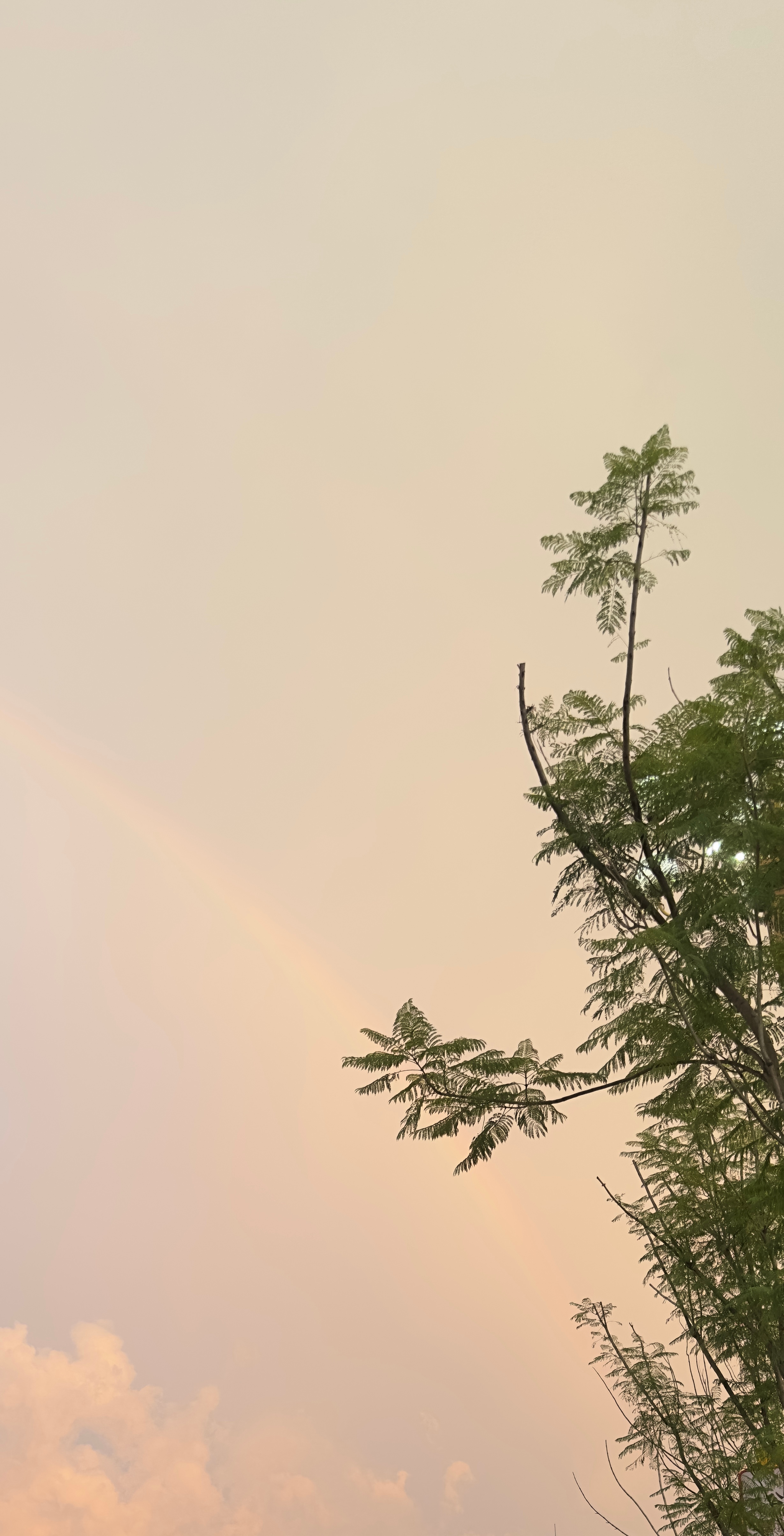 出门见彩虹，一切都会好哒！！！🌈 ​​​