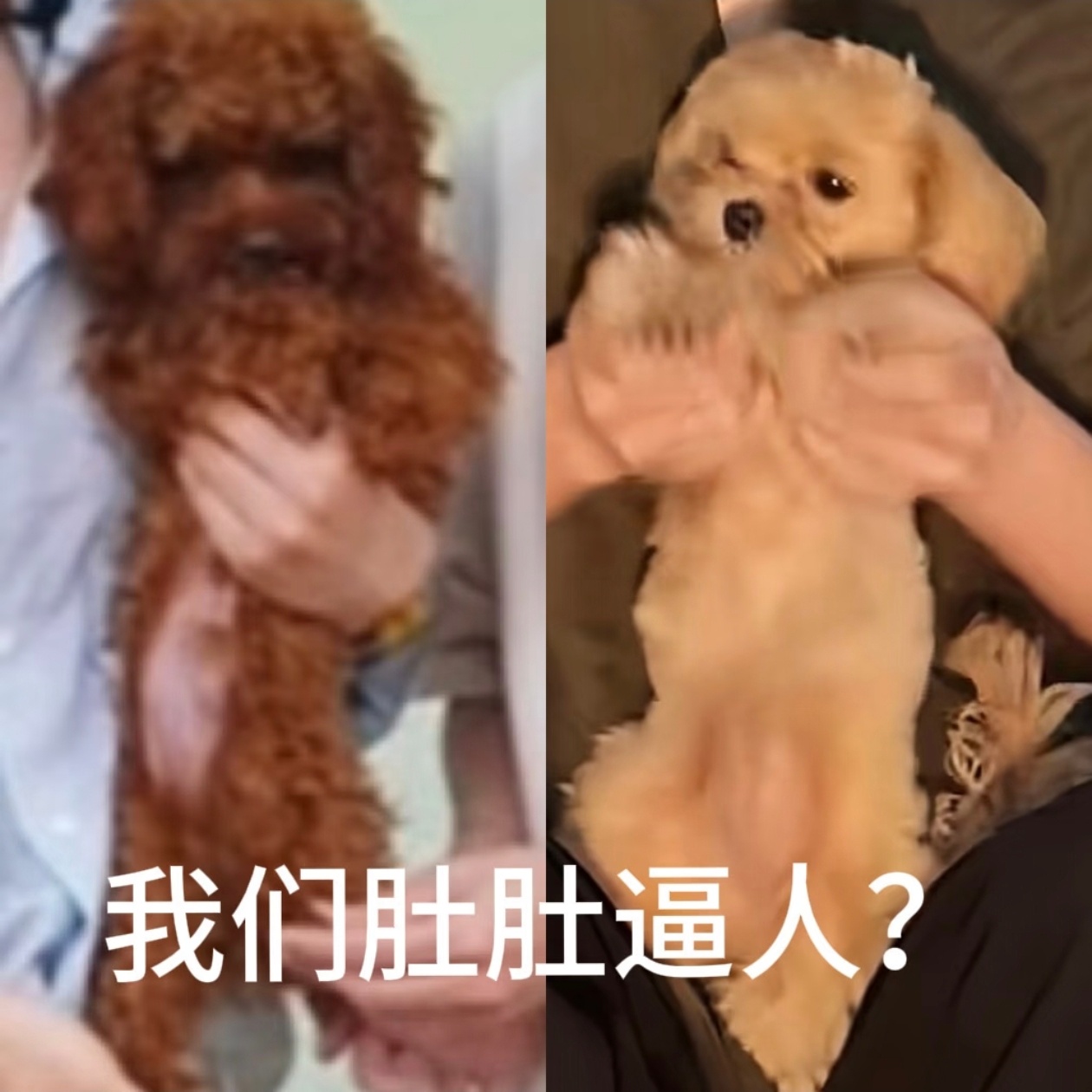 我燃尽了终于请好了假同事被窝磨的已经没脾气了，三个月月月出去两趟