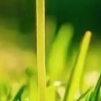 每日一善  阳光‎信用 人生没有太晚的开始，只有过早的放弃。只要心中有光，脚下有