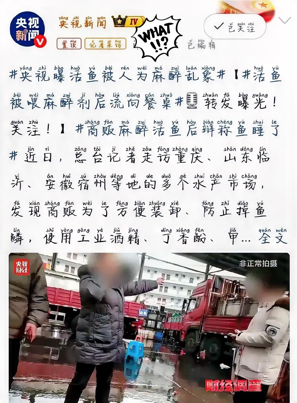 以前去买鱼

看水里的鱼安安静静

还以为是这鱼性格好

现在才知道，这哪是听话