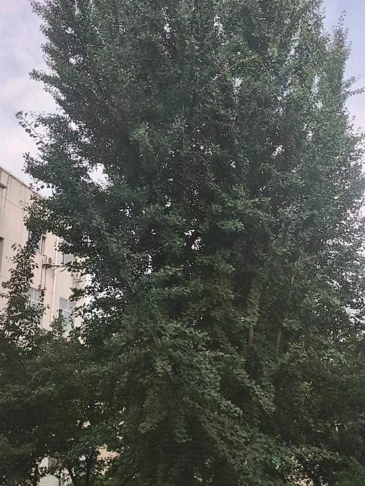 有一个想法，马上就去做！
分析利弊，权衡轻重，瞻前顾后，左思右想，这没有错。
到