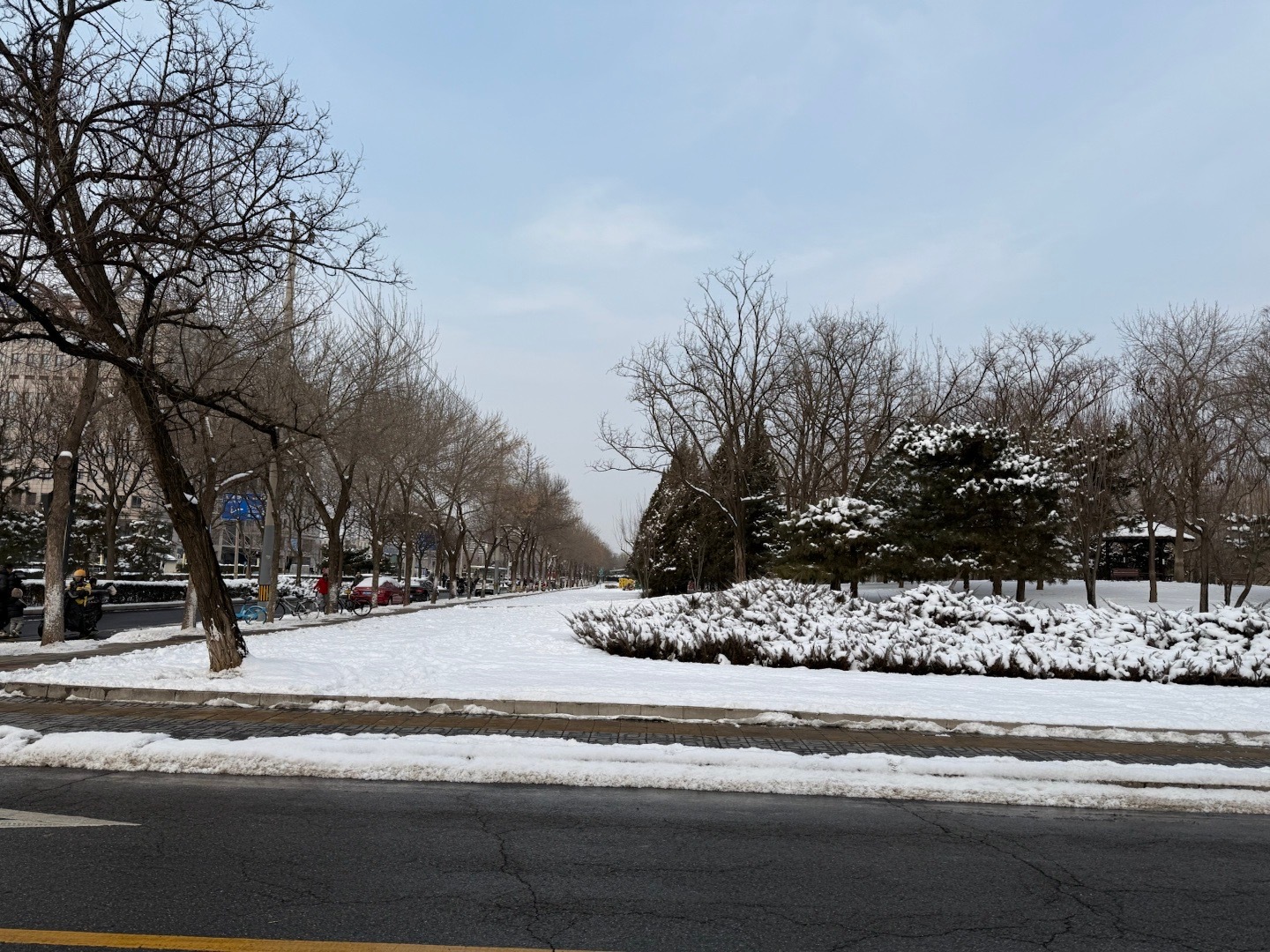 生活手记小伙伴们中午好周日愉快，瑞雪兆丰年 
