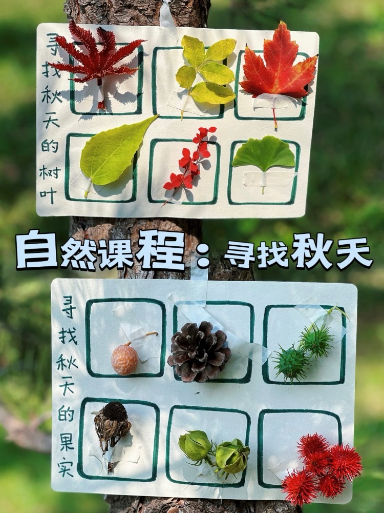 [打call]最适合秋天的亲子自然课程！带着宝宝去大自然中感受秋天的美好 寻找秋