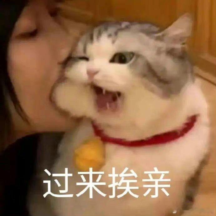 ⭐缩力男——角虚觜，房壁鬼，毕女轸（尤其是女），柳心奎，月狮星，尾。⭐张力男——