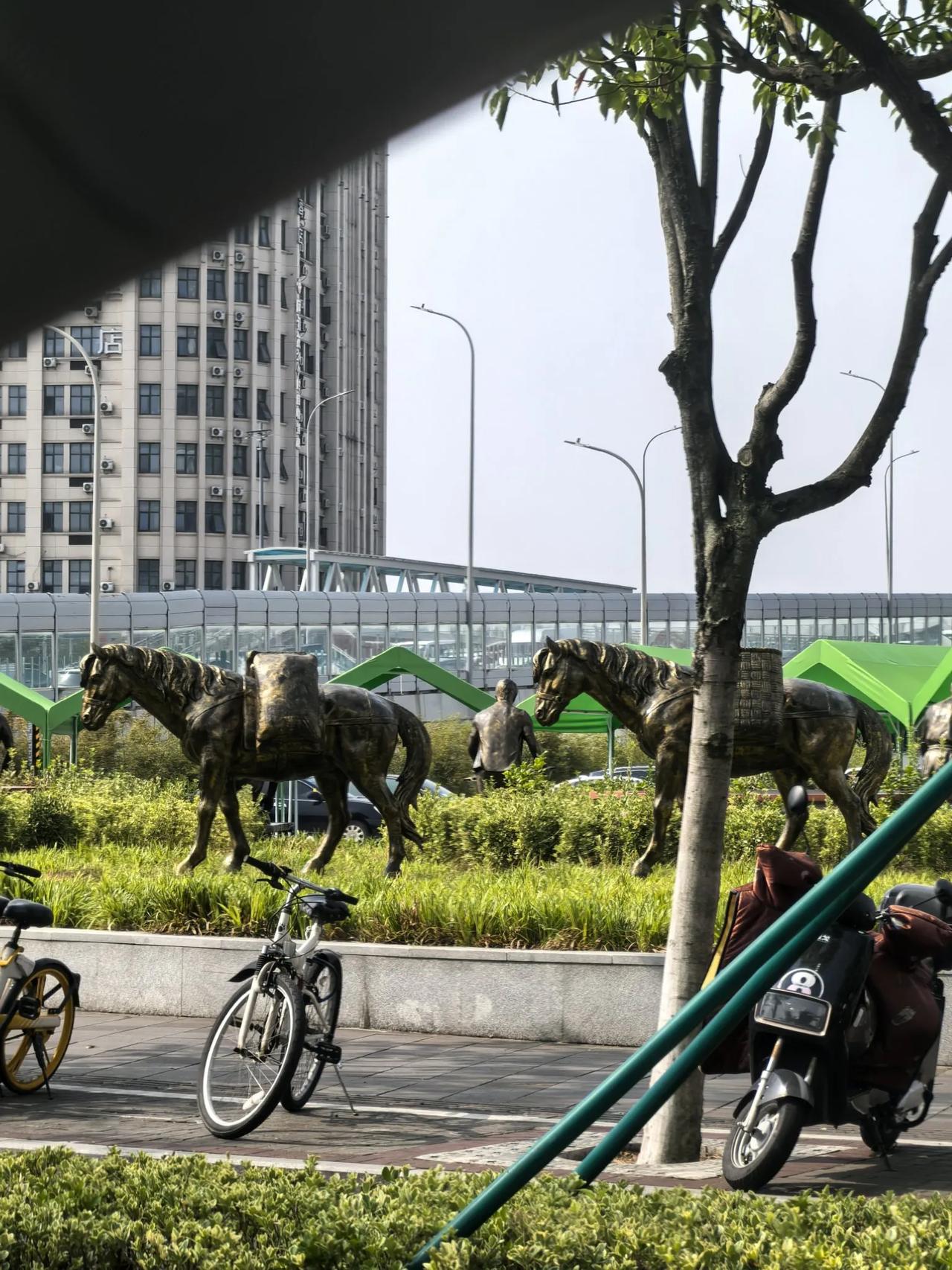 贫僧每日清晨扫落叶，
扫了又落，落了又扫，
这颗心便如这落叶——
风来知动，风过