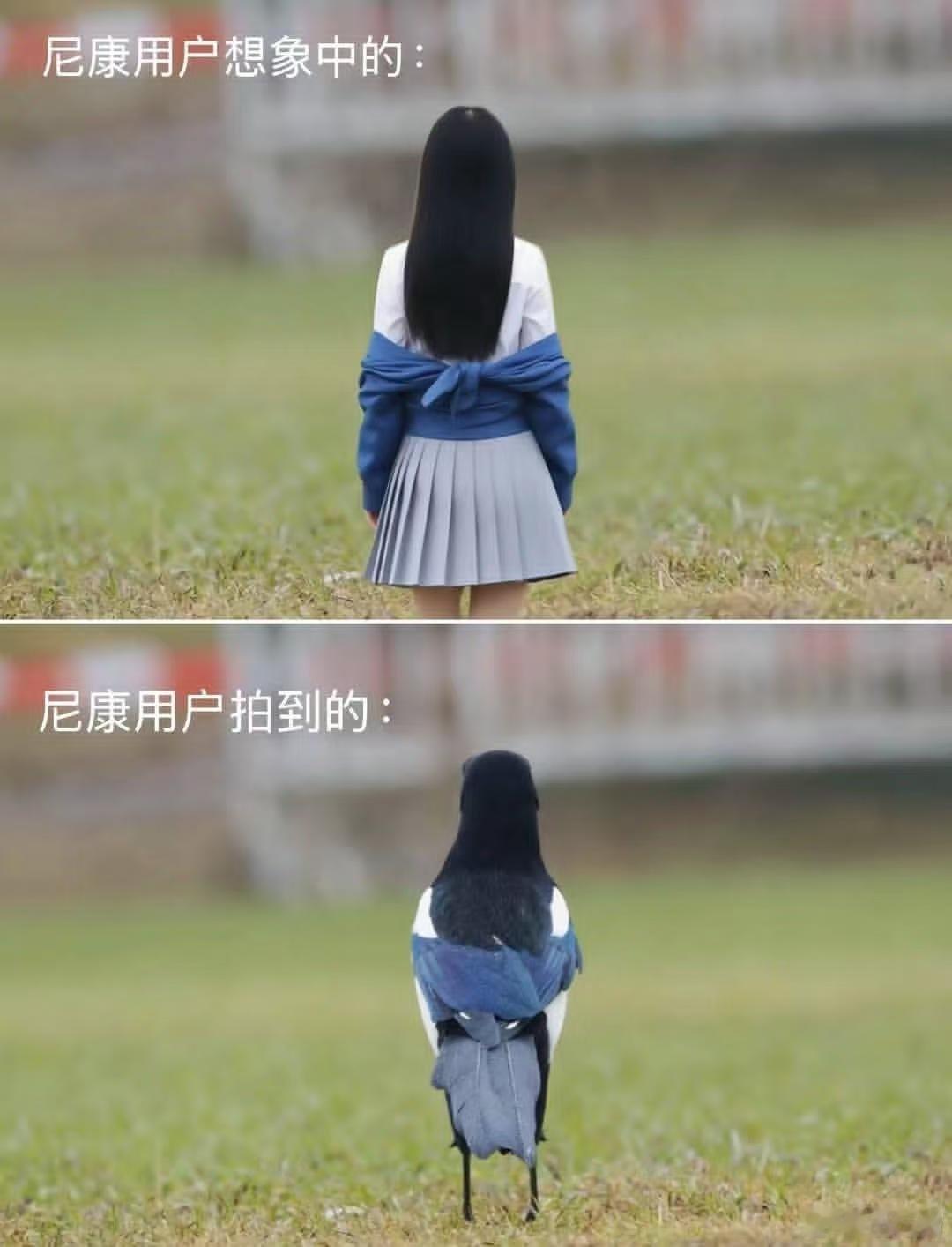 尼康佬是真的只会打鸟吗