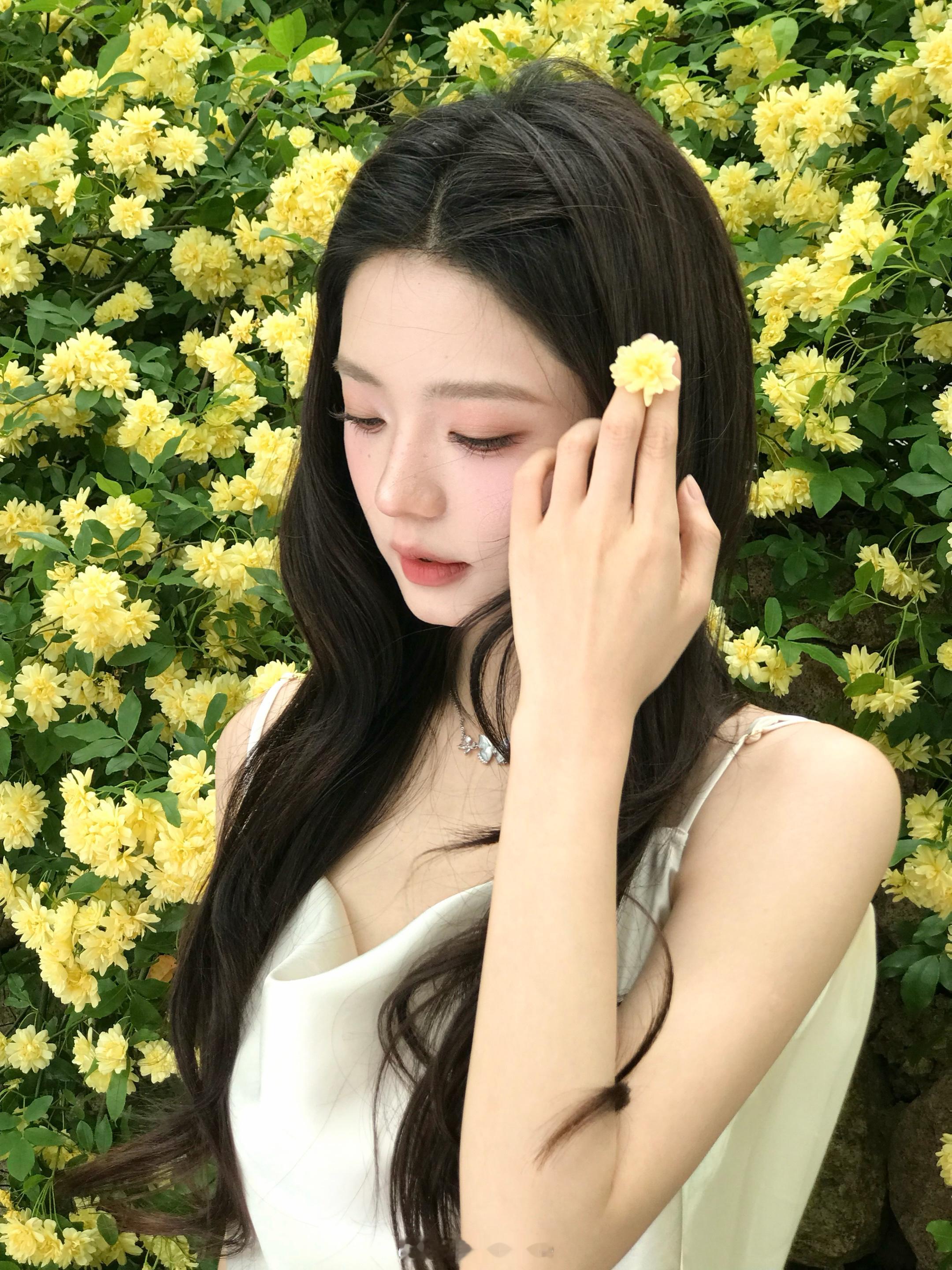 一些木香花 