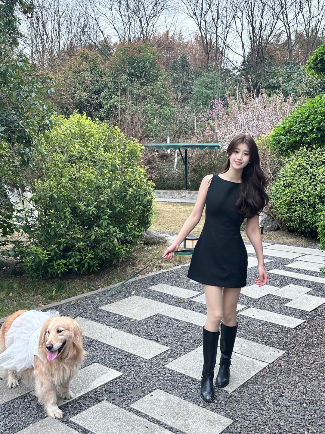 给小狗过生日啦