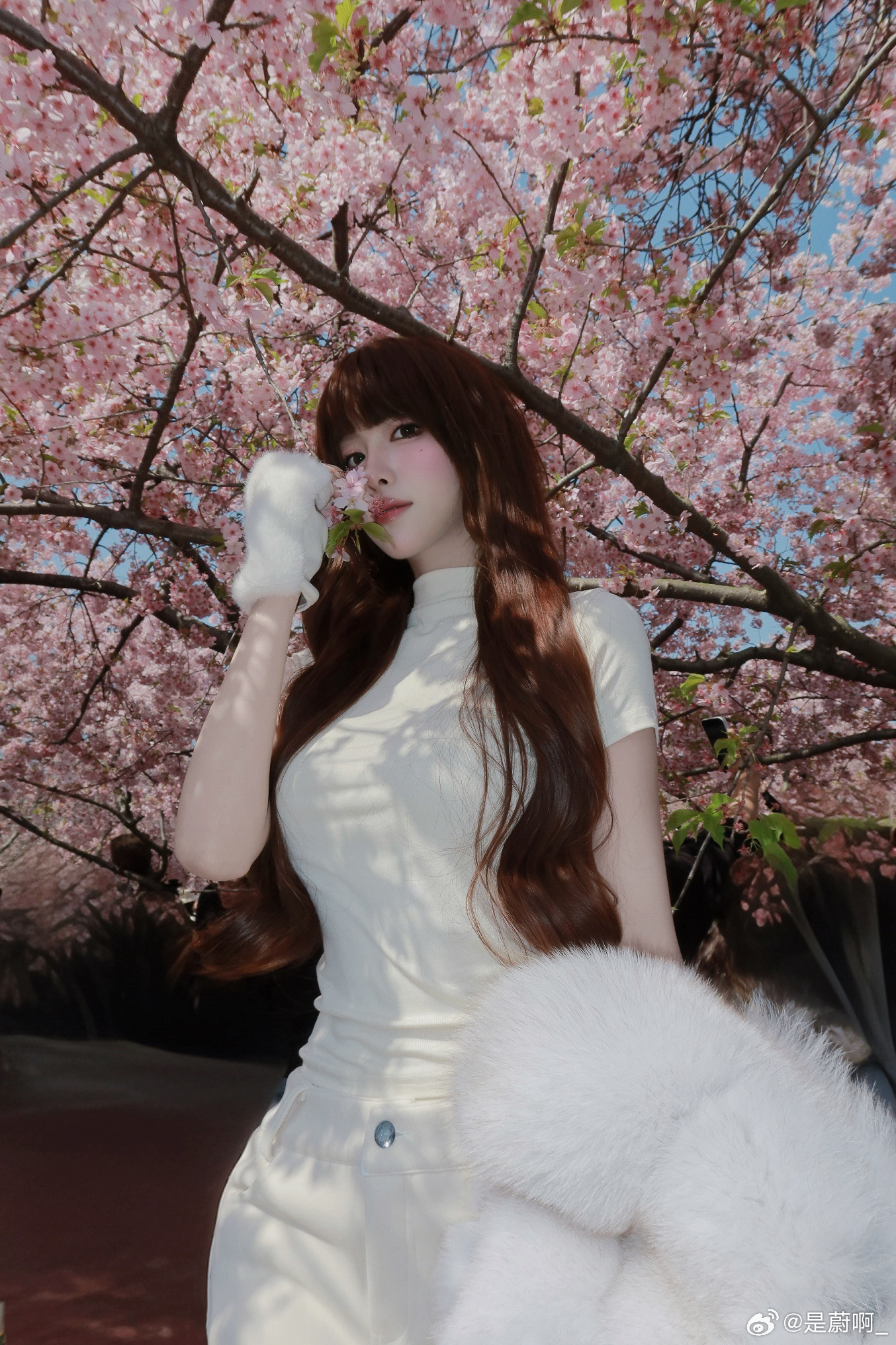 冷热冷热的季节 